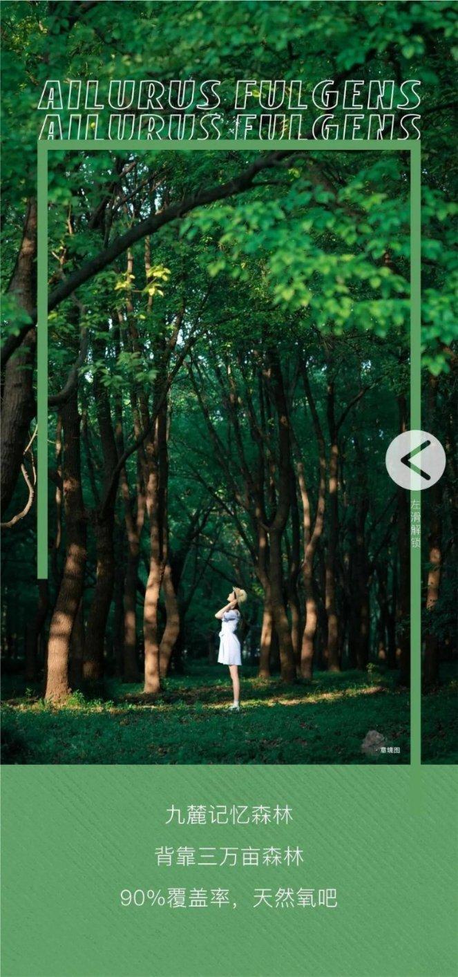 皇室派对夜